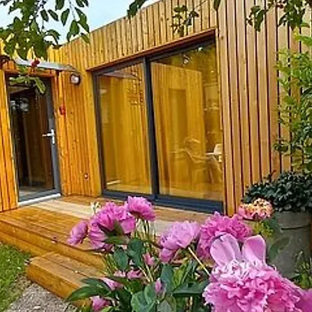 L'atelier Paisible Proche Nancy Avec Wifi Et Parking - Fr-1-584-378 *